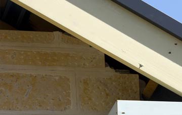 soffit repair Lathones